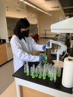 Vanessa sample preparing in lab